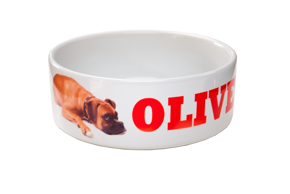 Ceramic Dog Bowl